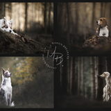 Foto van Manon - Suus & Isa