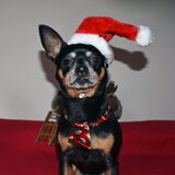 Kerst foto's