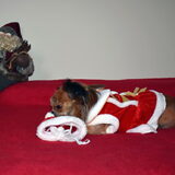 Kerst foto's. Het mutsje moet gewoon dood.