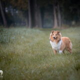 Foto van Femke