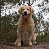 Foto van Suus