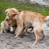 Foto van Suus