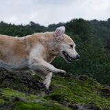 Foto van Suus