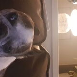 Foto van bianca