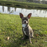 Foto van Cyntha