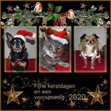 Fijne feestdagen en een voorspoedig 2020.