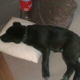 sssstttt ik slaap