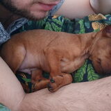 Foto van Kellyflokiteddy