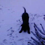 lang leve de sneeuw!!