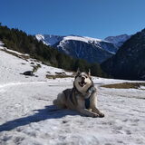 Foto van Lavina