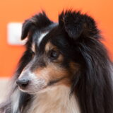 Foto van Kath