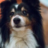 Foto van Kath