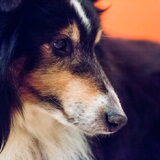 Foto van Kath