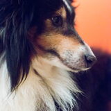 Foto van Kath