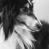Foto van Kath