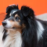 Foto van Kath