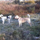 Foto van Nicole & Kayla