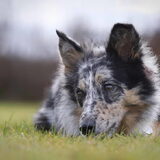 Foto van Naomi