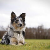 Foto van Naomi