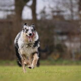 Foto van Naomi