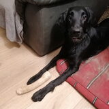 Foto van Danielle, Kyra*Kaylin*, Djaira en Djaidey