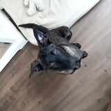 Foto van kimberley