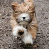 Actiefoto 5 maanden
