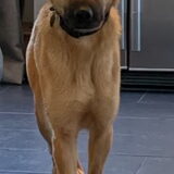 Bunny. Geadopteerd op 04.02.2020