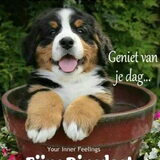 Foto van Anna