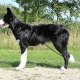 Foto van Angelique, Kleine Maybe en Tess <3