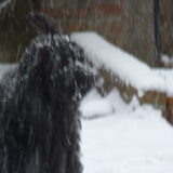 mjammie sneeuw