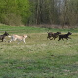 Foto van Lola&Jojo