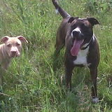 Foto van Lola&Jojo