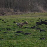Foto van Lola&Jojo