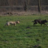 Foto van Lola&Jojo
