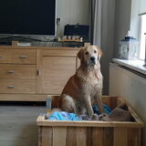 Foto van Max