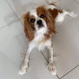 Foto van Christelle