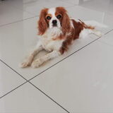 Foto van Christelle