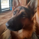 Foto van Willemijn