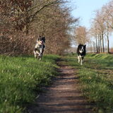 Foto van Angelique, Kleine Maybe en Tess <3