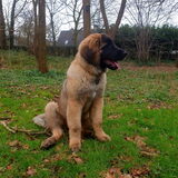 Foto van Britt, Maui & Fanu ~