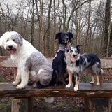 Foto van Naomi