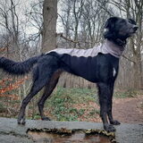 Foto van Naomi