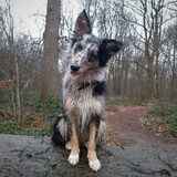 Foto van Naomi