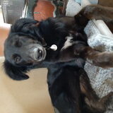 Foto van Naomi