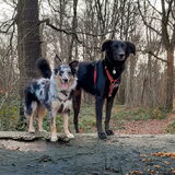 Foto van Naomi