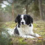 Foto van Angelique; Bruno, Charlie & Fenna