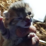 Foto van Jeanine :)