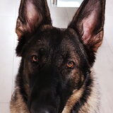 Foto van Elly