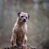 Foto van Suus